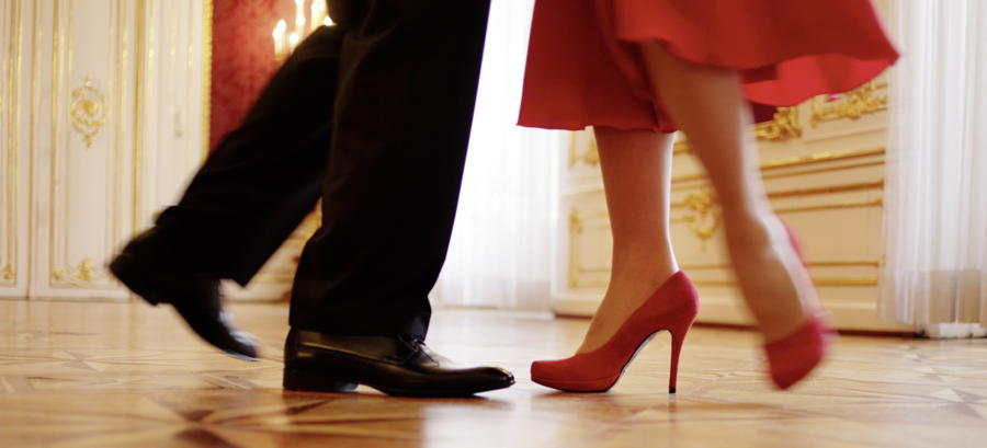 Orpheus Opernreisen, Musikreisen